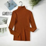 Women Turtleneck Sweater