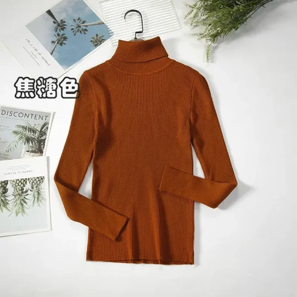 Women Turtleneck Sweater