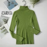 Women Turtleneck Sweater