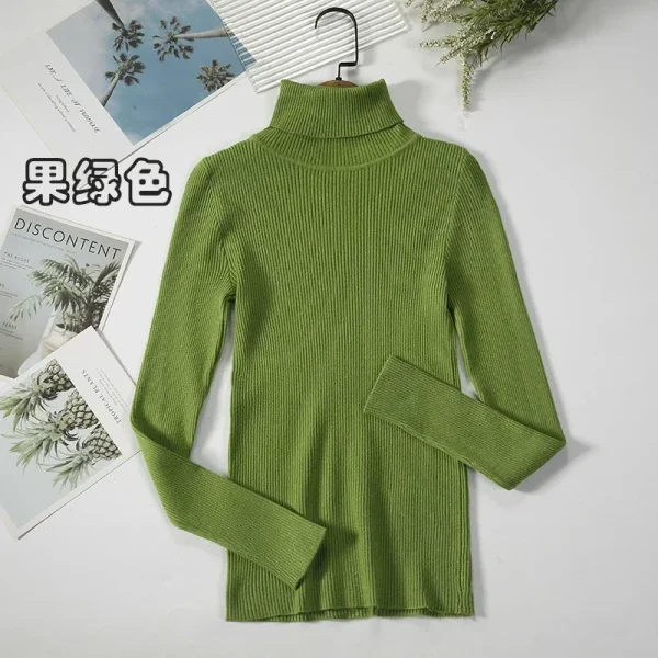 Women Turtleneck Sweater