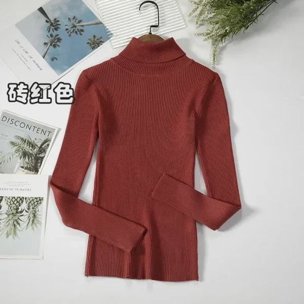 Women Turtleneck Sweater