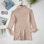 Women Turtleneck Sweater
