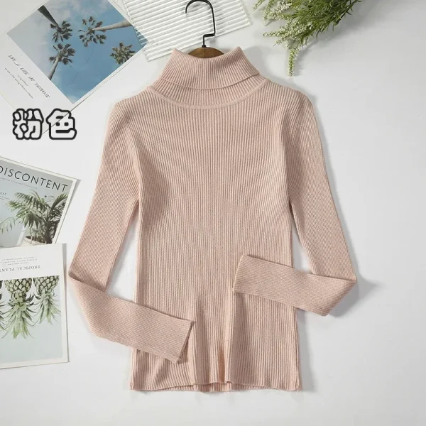 Women Turtleneck Sweater