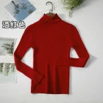 Women Turtleneck Sweater