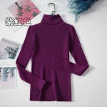 Women Turtleneck Sweater