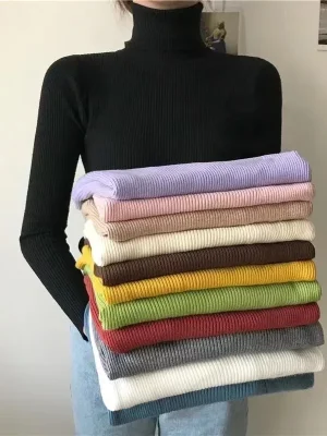 Women Turtleneck Sweater