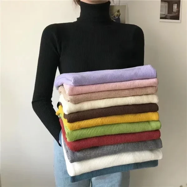 Women Turtleneck Sweater
