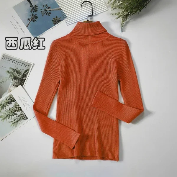 Women Turtleneck Sweater