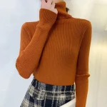 Women Cashmere Pullovers