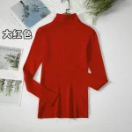 Women Turtleneck Sweater