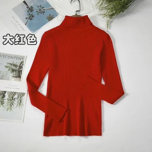 Women Turtleneck Sweater