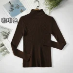 Women Turtleneck Sweater