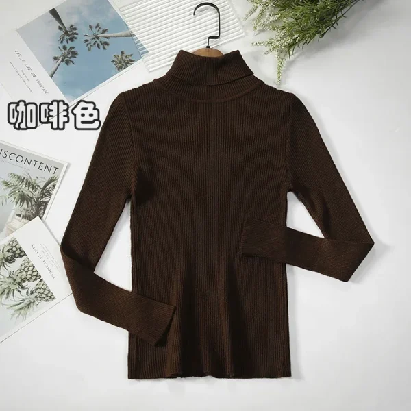 Women Turtleneck Sweater