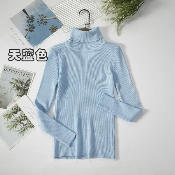 Women Turtleneck Sweater