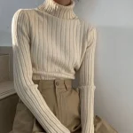 Women Turtleneck Sweater
