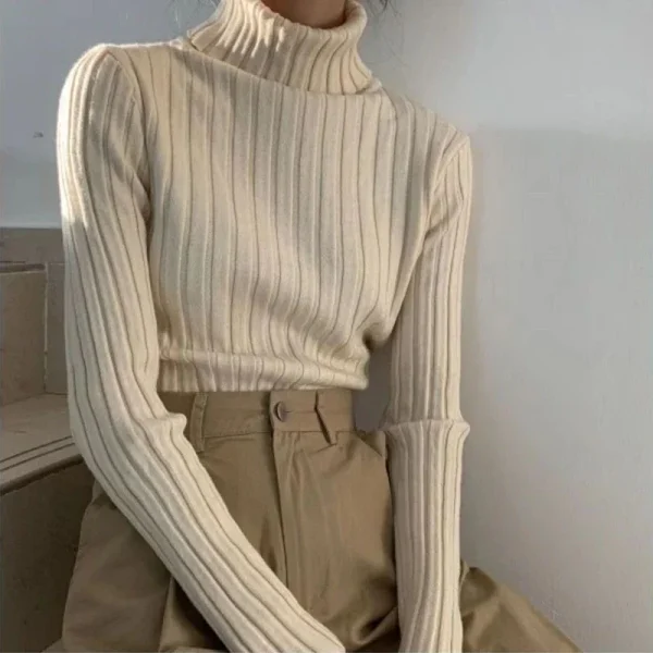 Women Turtleneck Sweater