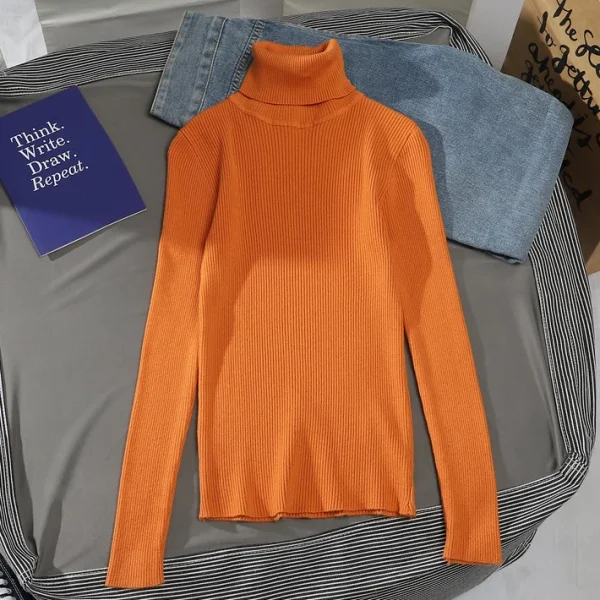 Women's Turtleneck Sweater