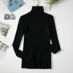 Women Turtleneck Sweater