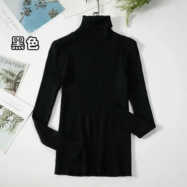 Women Turtleneck Sweater