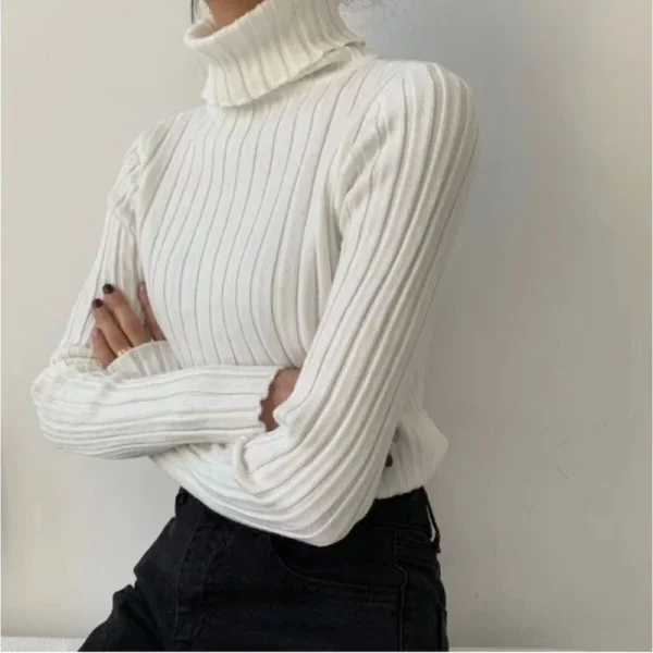 Women Turtleneck Sweater