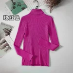 Women Turtleneck Sweater