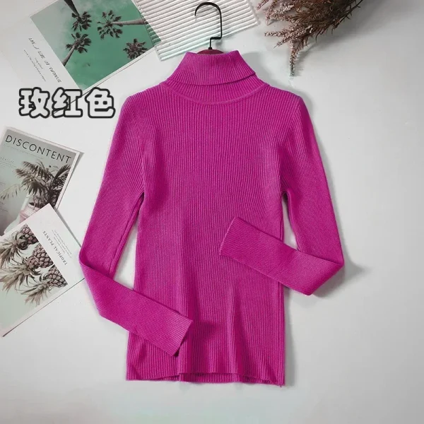 Women Turtleneck Sweater