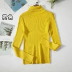Women Turtleneck Sweater