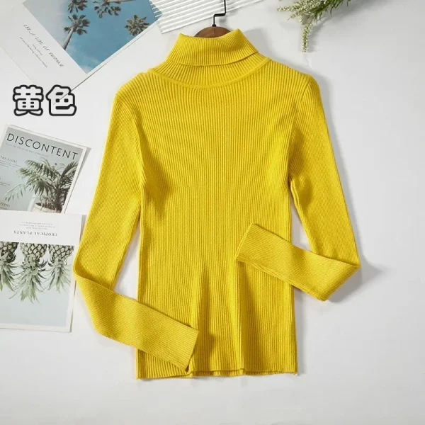 Women Turtleneck Sweater