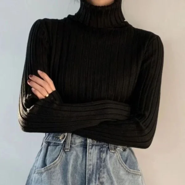 Women Turtleneck Sweater