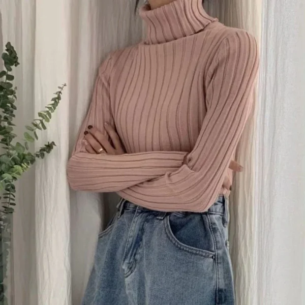 Women Turtleneck Sweater