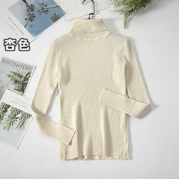 Women Turtleneck Sweater