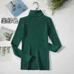 Women Turtleneck Sweater