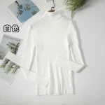 Women Turtleneck Sweater
