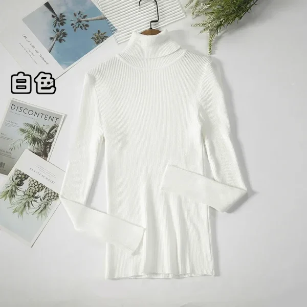 Women Turtleneck Sweater